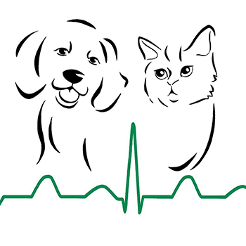 Clínica Veterinaria San Francisco de Asís