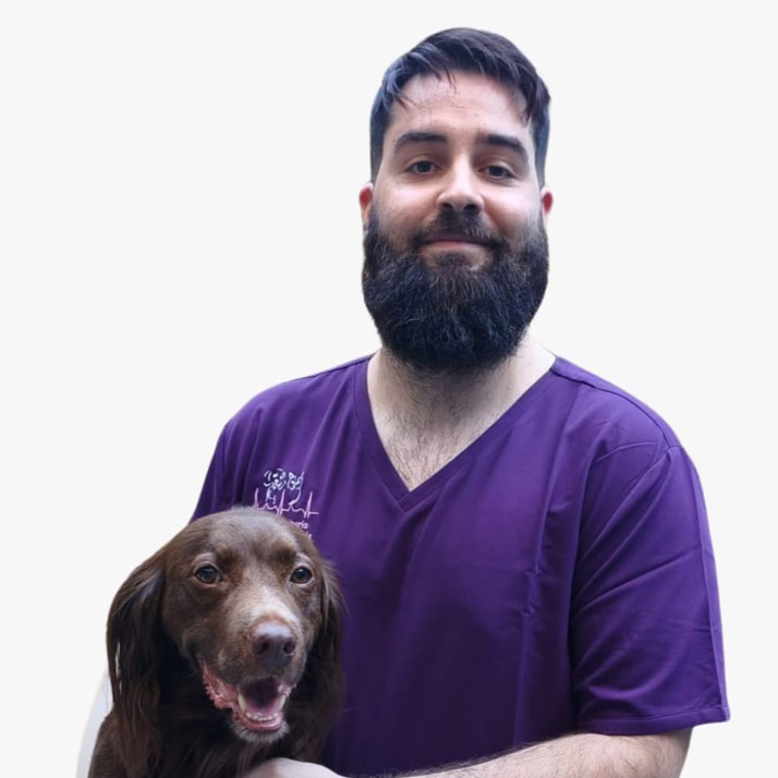 Luis